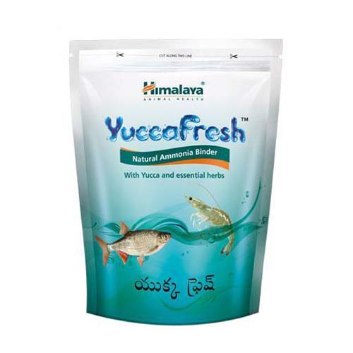 Yuccafresh Powder
