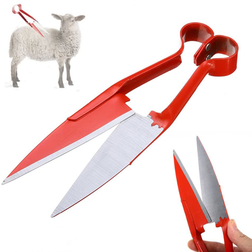Sheep Wool Cutter Scissors Japanese