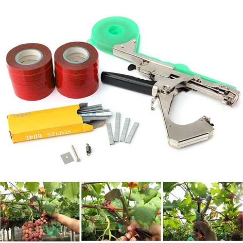 Grapes Tying Tape Tool