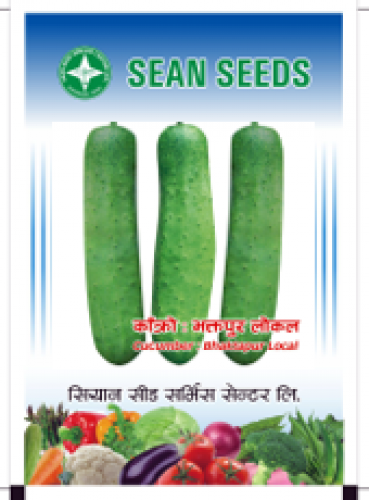 Cucumber: Bhaktapure