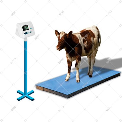 Weighing Scale Balance Bigger Animals