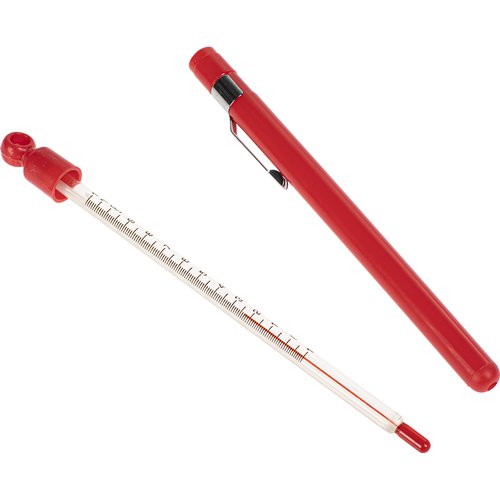 All Purpose Thermometer-Pen Type